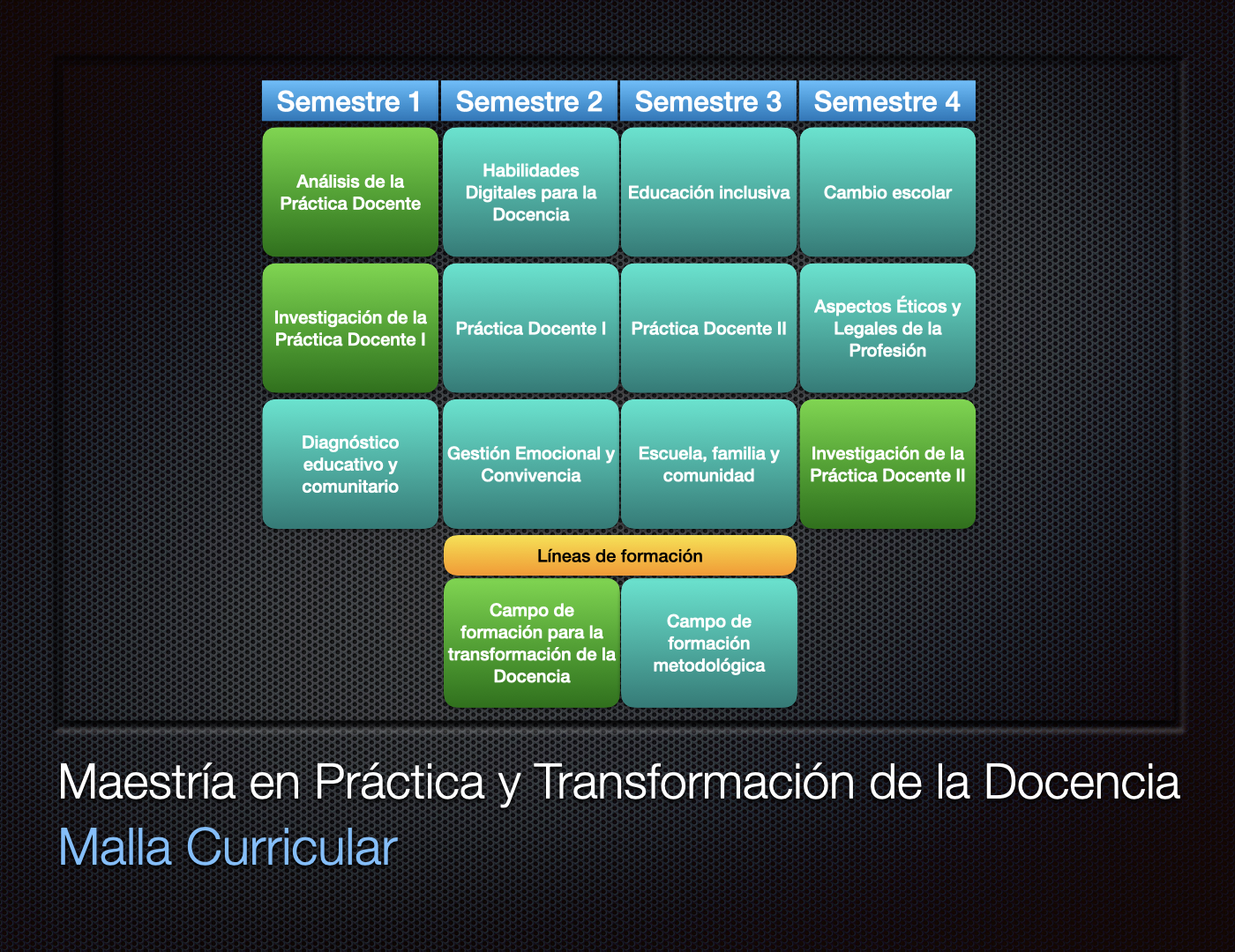 Malla Curricular